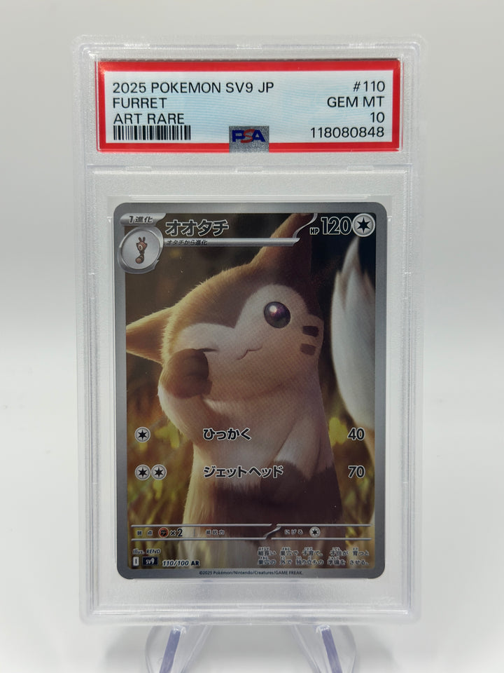 Pokémon Furret AR Japanese #110 PSA 10
